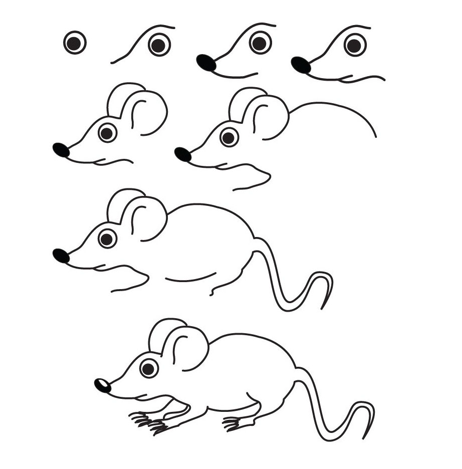 Những nét vẽ đầu đời – Bé vẽ con chuột – Bé tư duy