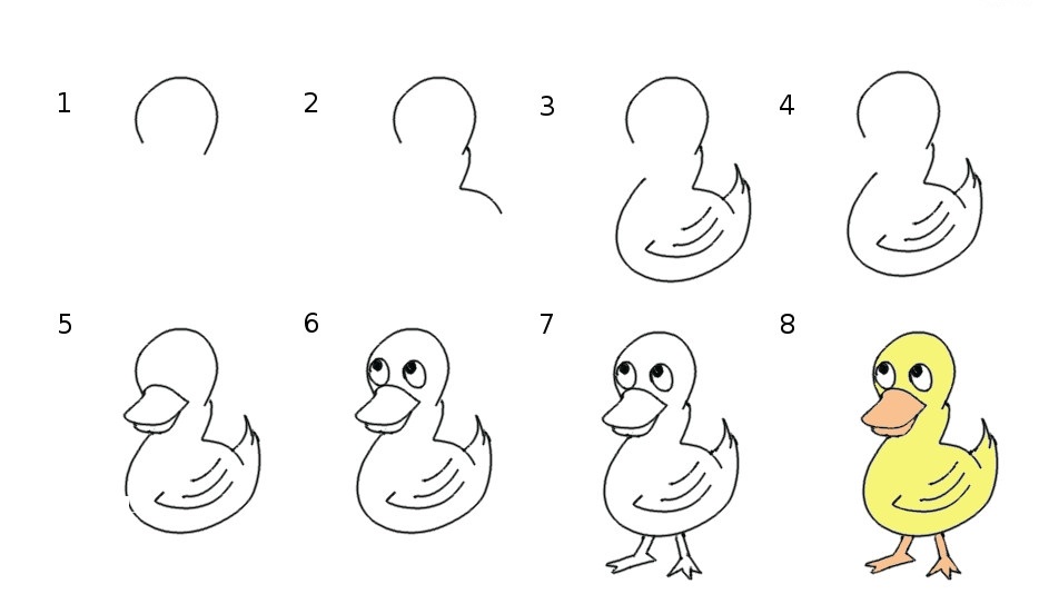 how to draw a duck 3