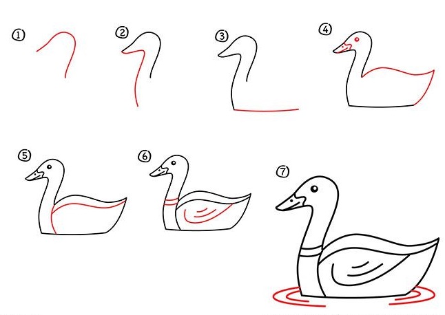 how to draw a duck 4