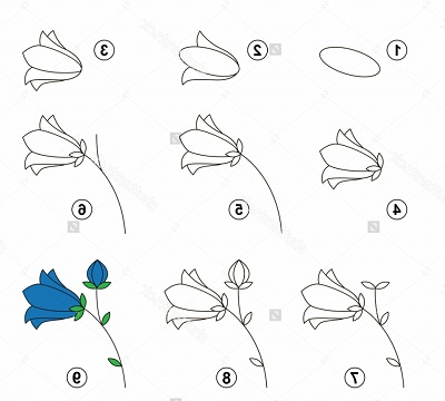 Drawing Flower Step By Step Drawing Flowers Stepstep Drawing Flower Stepstep How To Draw - Daily Drawings