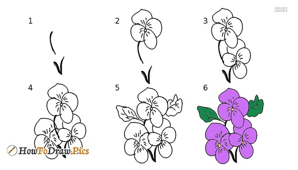 how-to-draw-flowers-52650-27758