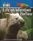 Life at wombat hollow