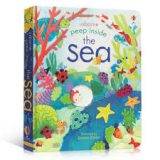Sách Tiếng Anh Lật Mở Usborne Peep Inside The Sea