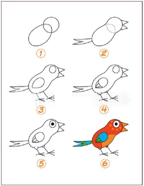 Học vẽ theo từng bước – Vẽ con chim – Bé tư duy
