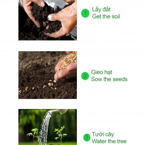 Bé tư duy - how to plant a tree