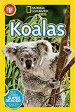 National Geographic kids: Level 1: Koalas