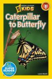 National Geographic kids: Level 1: Caterpillar to Butterfly