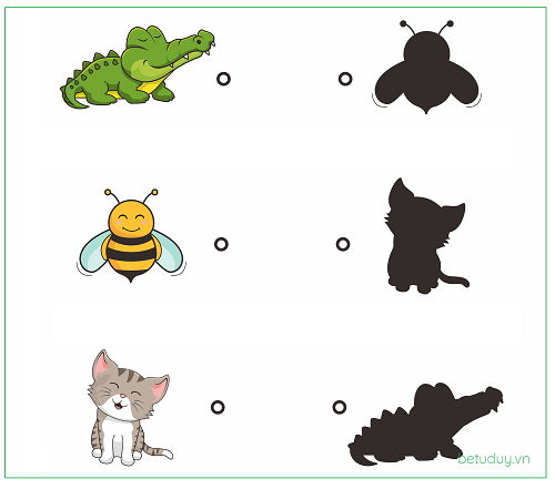 Trò Chơi Tìm Bóng Cấp Độ 1 – Tìm Bóng Động Vật Cá Sấu, Ong, Mèo – Bé Tư Duy